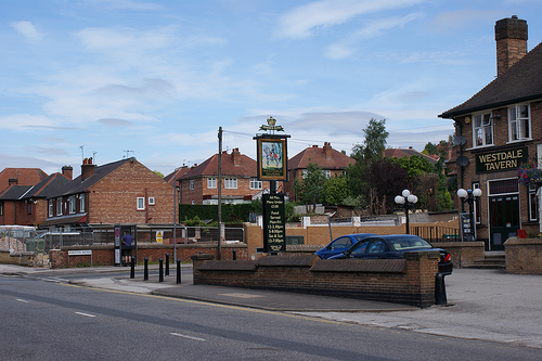 Image of Gelding Nottingham